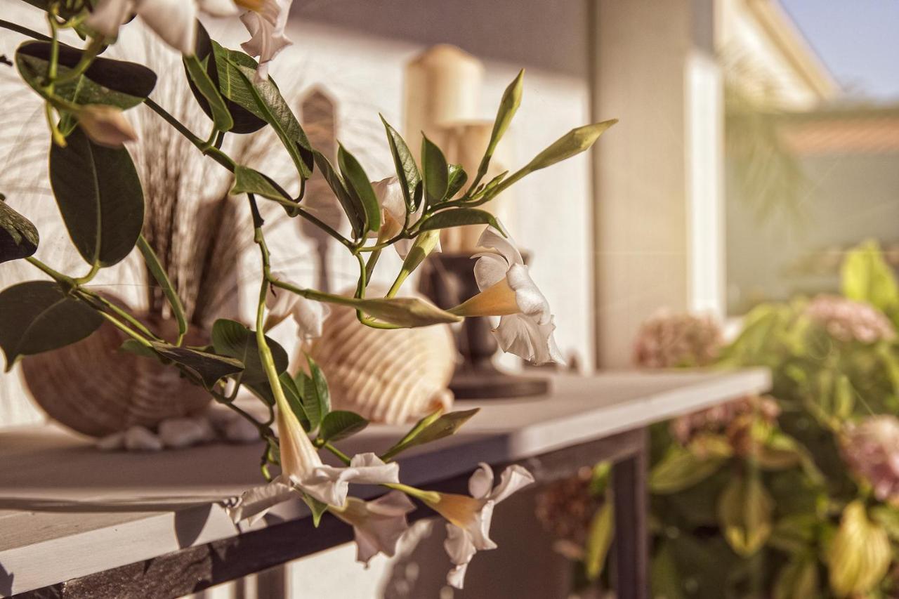 Affittacamere Villa Masa Zingarello エクステリア 写真