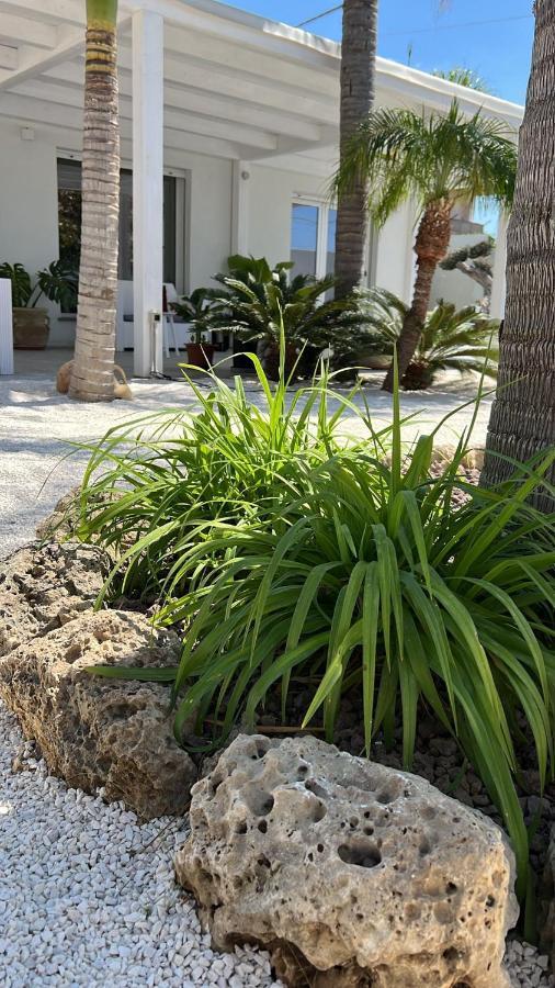 Affittacamere Villa Masa Zingarello エクステリア 写真